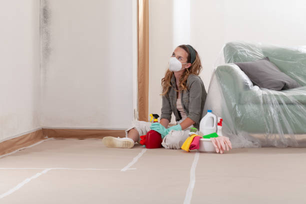 Reliable Mold Remediation contractor in Fredericksburg, TX by Cheap Mold Removal
